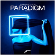 Album Paradigm (Remixes)