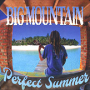 Album Perfect Summer
