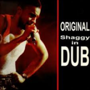 Album Original Shaggy In Dub