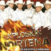 Album 14 Detonantes Corridos