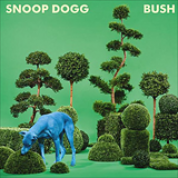 Album Bush