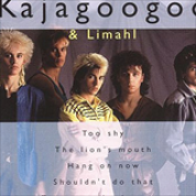 Album The Very Best of Kajagoogoo and Limahl