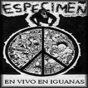 Album En Vivo En Iguanas