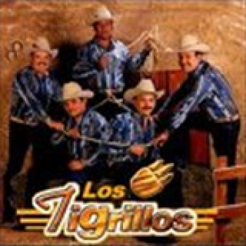 Album Los Tigrillos de Los tigrillos