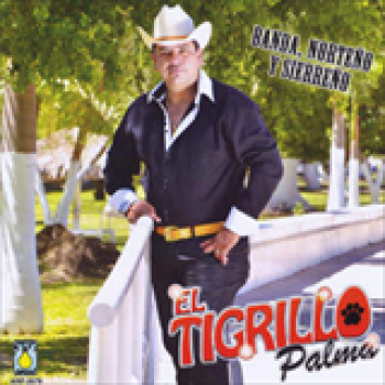 Album Banda, Norteño Y Sierreño de El Tigrillo Palma