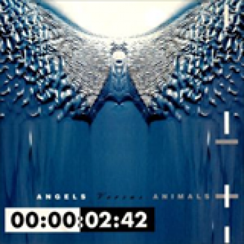 Album Angels Versus Animals de Front 242