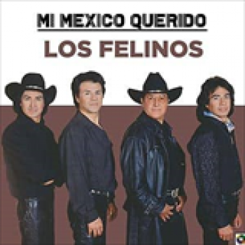 Album Mi Mexico Querido de Los Felinos