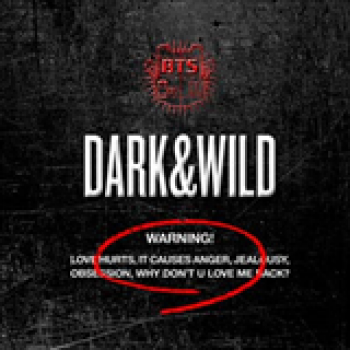Album Dark & Wild de BTS (Bangtan Boys)