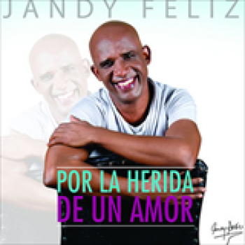 Album Por La Herida De Un Amor (Single) de Jandy Feliz