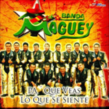 Album Pa' Que Veas Lo Que Se Siente de Banda Maguey
