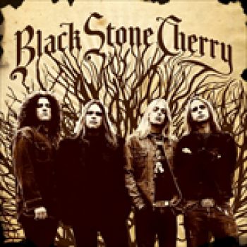 Album Black Stone Cherry de Black Stone Cherry