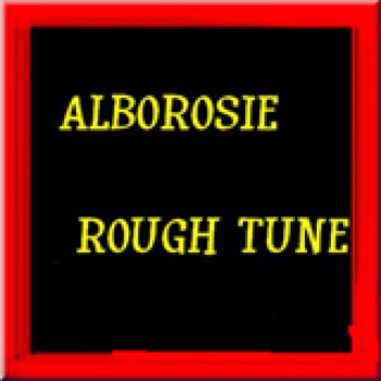 Album Rough Tune de Alborosie