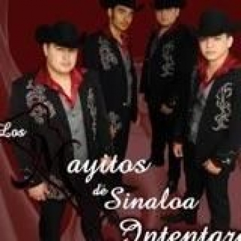 Album Intentare de Los Mayitos de Sinaloa