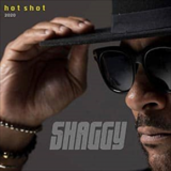 Album Hot Shot 2020 de Shaggy