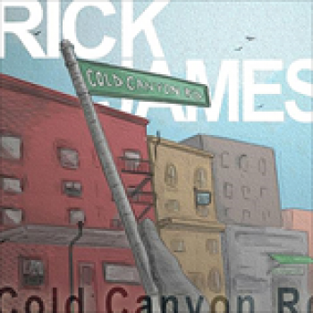 Album Cold Canyon Road de Rick James