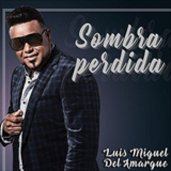 Album Sombra Perdida de Luis Miguel del Amargue