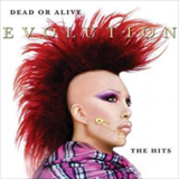 Album Evolution: The Hits de Dead Or Alive