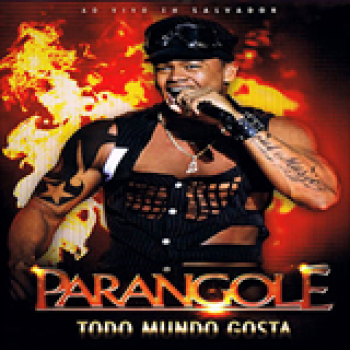 Album Todo Mundo Gosta de Parangolé