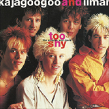 Album Too Shy (The Singles and More) de Kajagoogoo