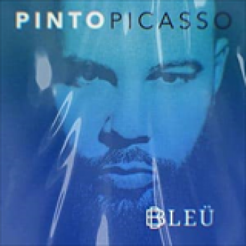 Album Bleu de Pinto Picasso