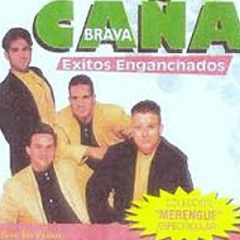 Album Exitos Enganchados de Caña Brava