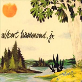Album Yours to Keep de Albert Hammond Jr.