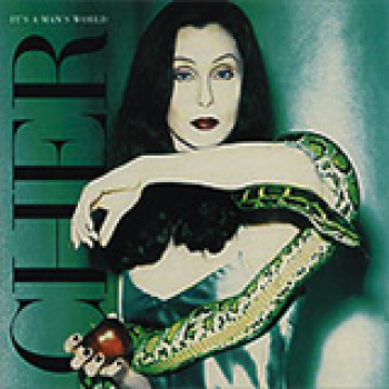 Album It's A Man's World de Cher