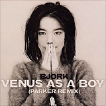 Album Venus As A Boy de Bjork
